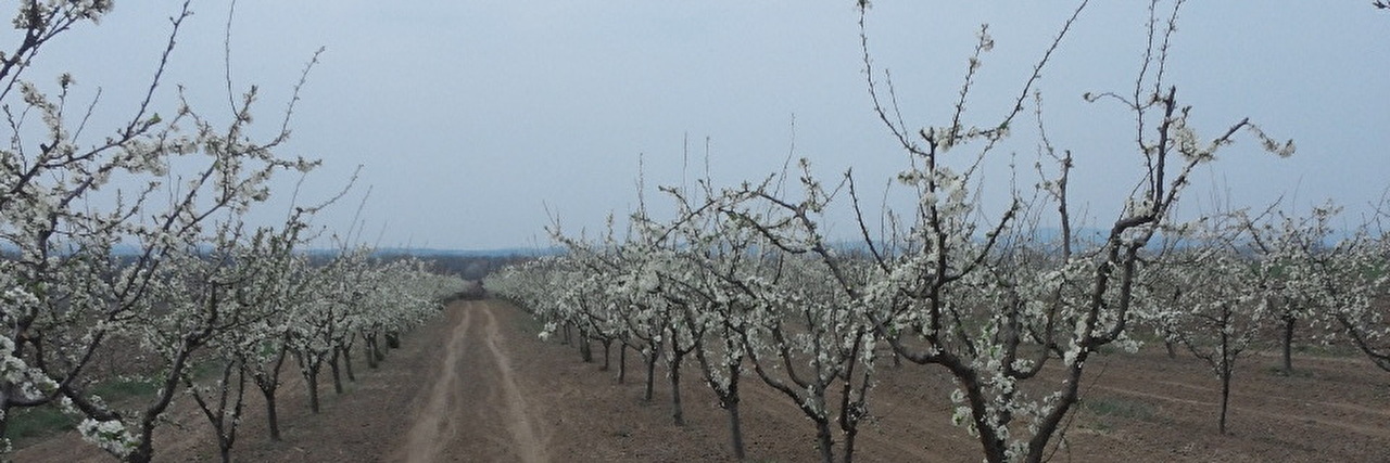20190403.jpg