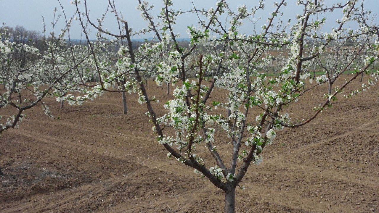20190403_102502.jpg