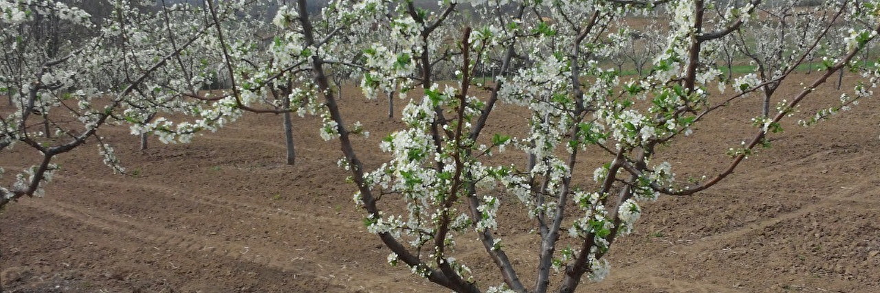 20190403_102502.jpg